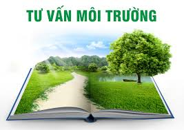 Doanh nghiệp đã và đang hoạt động có cần lập lại ĐTM theo Luật Bảo vệ môi trường 2020